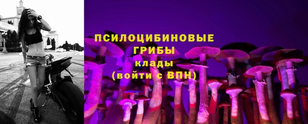ALPHA-PVP Ладушкин