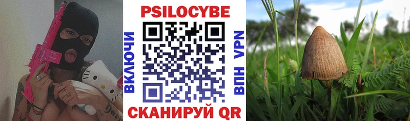 KRAKEN как войти  Яблоновский  Псилоцибиновые грибы прущие грибы  купить наркотик 